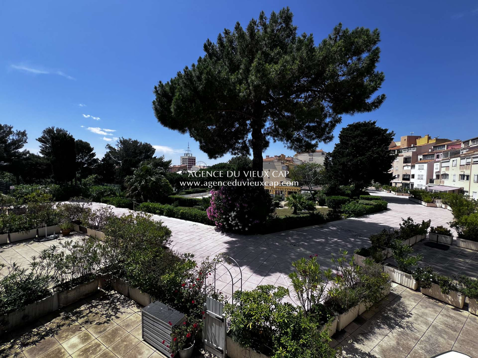 Image_, Appartement, Le cap d agde, ref :73