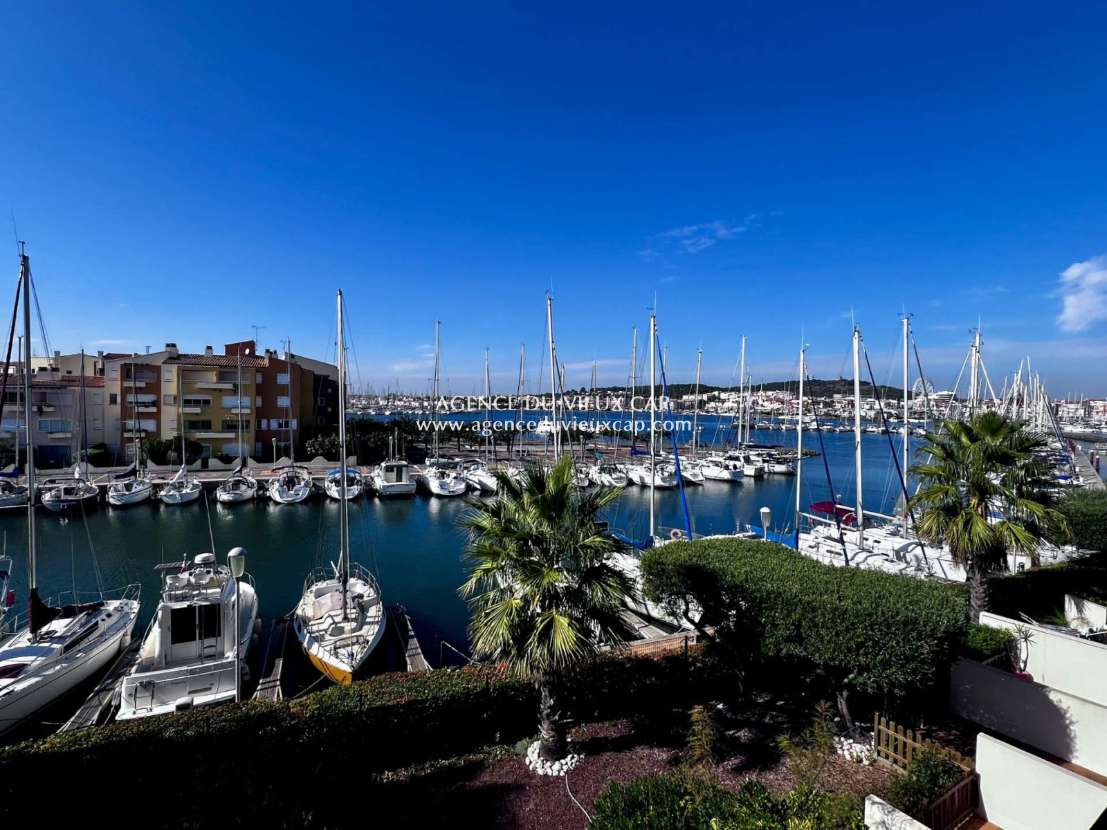 Image_, Appartement, Le cap d agde, ref :1